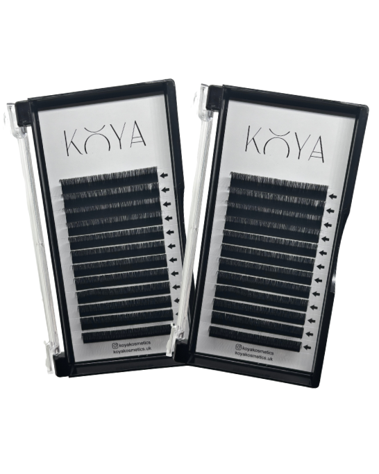 Lash Trays